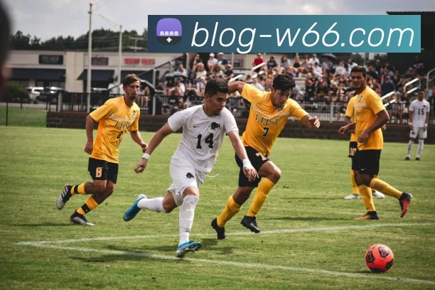 利来国际APP 封面图